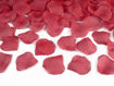 Picture of CONFETTI CANNON WITH ROSE PETALS DEEP RED 80CM